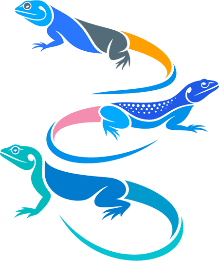lizards