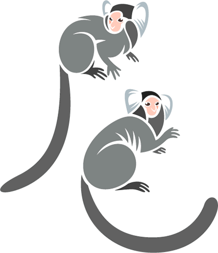 marmosets